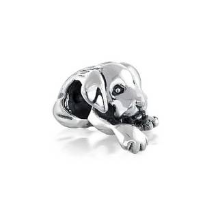 Cute Puppy Dog Pandora Charm actual image