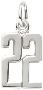 Number 22 Numeral Silver Charm actual image
