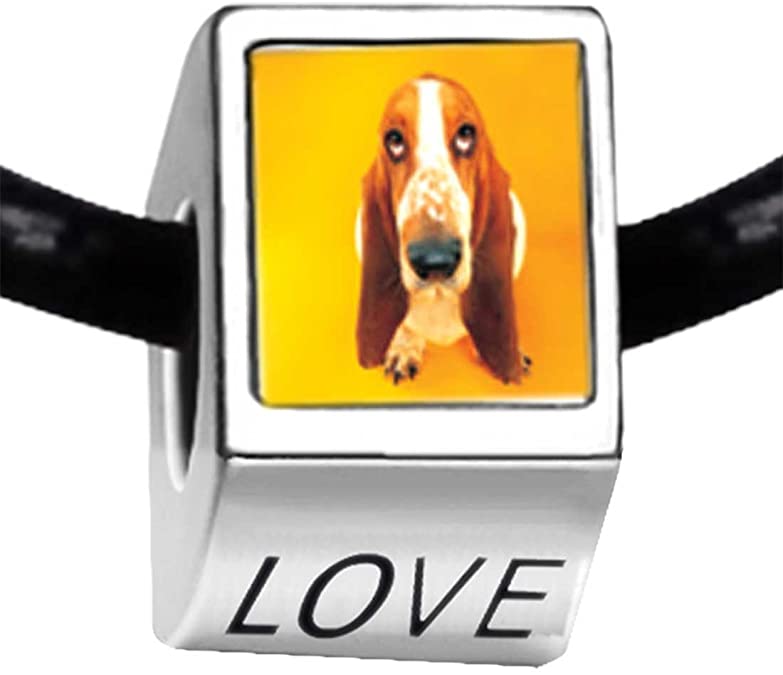 Pandora Basset Hound Dog Photo Love Charm actual image