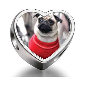 Pandora Dressed Up Pug Heart Photo Charm actual image