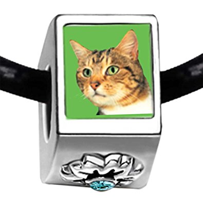 Pandora Green Eyed Cat Charm actual image